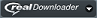 RealDownloader-Optionen