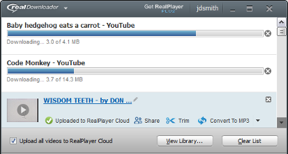 realplayer downloader not working chrome