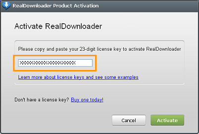 realdownloader unable to download